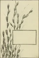 Picture 35 of 100 from Suggestions for handwork in school and home (1911), leaf 47