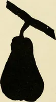 An illustration from Suggestions for handwork in school and home (1911)