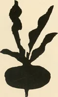 An illustration from Suggestions for handwork in school and home (1911)
