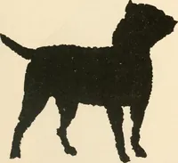 An illustration from Suggestions for handwork in school and home (1911)