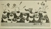 An illustration from A suggestive state course of study for kindergarten-primary grades, submitted at the request of the county and city superintendents of schools (1922)