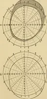 An illustration from Suggestive therapeutics : a treatise on the nature and uses of hypnotism (1889)