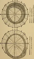 An illustration from Suggestive therapeutics : a treatise on the nature and uses of hypnotism (1880)