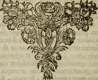 An illustration from Sugillatio ingratitudinis (1656)