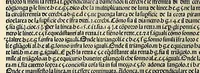 An illustration from Su[m]ma de arithmetica geometria proportioni [et] proportionalita