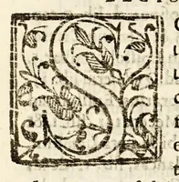 An illustration from Summaria investigacion de el origin, y privilegios, de los ricos hombres o nobles, caballeros, infanzones o hijos dalgo, y señores de vassallos de Aragon, y del absoluto poder queen ellos tienen. : Parte primera (1664)