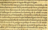 An illustration from Summa y recopilacion de cirugia, con un arte para sangrar, y examen de barberos, (1595)