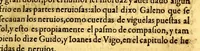 An illustration from Summa y recopilacion de cirugia, con un arte para sangrar, y examen de barberos, (1595)