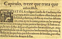 An illustration from Summa y recopilacion de cirugia, con un arte para sangrar, y examen de barberos, (1595)