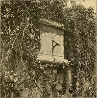 Picture 33 of 254 from Sun dials and roses of yesterday; garden delights which are here displayed in every truth and are moreover regarded as emblems (1902), leaf 111