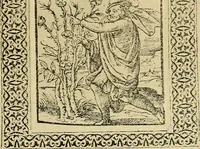 An illustration from Sun dials and roses of yesterday; garden delights which are here displayed in every truth and are moreover regarded as emblems (1902)