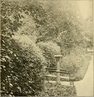 Picture 150 of 254 from Sun dials and roses of yesterday; garden delights which are here displayed in every truth and are moreover regarded as emblems (1902), leaf 334