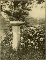 Picture 152 of 254 from Sun dials and roses of yesterday; garden delights which are here displayed in every truth and are moreover regarded as emblems (1902), leaf 338