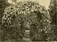 Picture 184 of 254 from Sun dials and roses of yesterday; garden delights which are here displayed in every truth and are moreover regarded as emblems (1902), leaf 396