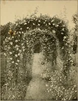 Picture 188 of 254 from Sun dials and roses of yesterday; garden delights which are here displayed in every truth and are moreover regarded as emblems (1902), leaf 415