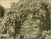An illustration from Sun dials and roses of yesterday; garden delights which are here displayed in every truth and are moreover regarded as emblems (1902)