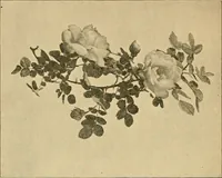 An illustration from Sun dials and roses of yesterday; garden delights which are here displayed in every truth and are moreover regarded as emblems (1902)