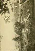 Picture 215 of 254 from Sun dials and roses of yesterday; garden delights which are here displayed in every truth and are moreover regarded as emblems (1902), leaf 470