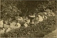 Picture 240 of 254 from Sun dials and roses of yesterday; garden delights which are here displayed in every truth and are moreover regarded as emblems (1902), leaf 533