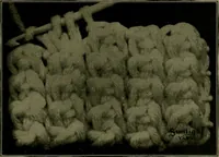 Picture 53 of 134 from The Sunlight book of knitting and crocheting (1915), leaf 42
