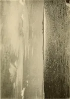 An illustration from Sun lore of all ages; a collection of myths and legends concerning the sun and its worship (1914)