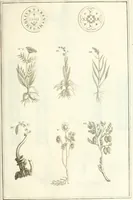 Picture 28 of 58 from Superstitions anciennes et modernes : prejugés vulgaires, qui ont induit les peuples à des usages & à des pratiques contraires à la religion (1733), leaf 102