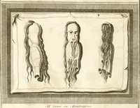 Picture 36 of 58 from Superstitions anciennes et modernes : prejugés vulgaires, qui ont induit les peuples à des usages & à des pratiques contraires à la religion (1733), leaf 167