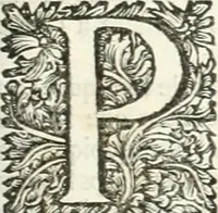 Picture 39 of 58 from Superstitions anciennes et modernes : prejugés vulgaires, qui ont induit les peuples à des usages & à des pratiques contraires à la religion (1733), leaf 228