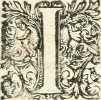 Picture 43 of 58 from Superstitions anciennes et modernes : prejugés vulgaires, qui ont induit les peuples à des usages & à des pratiques contraires à la religion (1733), leaf 314