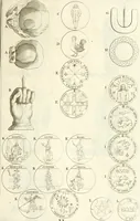 An illustration from Superstitions anciennes et modernes : prejugés vulgaires, qui ont induit les peuples à des usages & à des pratiques contraires à la religion (1733)