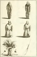 Picture 21 of 58 from Superstitions anciennes et modernes : prejugés vulgaires, qui ont induit les peuples à des usages & à des pratiques contraires à la religion (1733), leaf 90