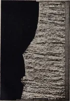 An illustration from A supplemental descriptive catalogue of specimens of lace acquired for the South Kensington museum, between June 1880 and June 1890 / By Alan S. Cole (1891)