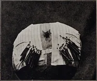 Picture 23 of 23 from A supplemental descriptive catalogue of specimens of lace acquired for the South Kensington museum, between June 1880 and June 1890 / By Alan S. Cole (1891), leaf 71