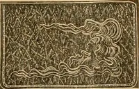 Picture 56 of 95 from Supplement to 1905 catalogue. (1905), leaf 20