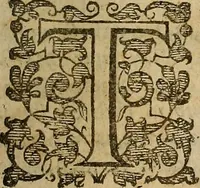 An illustration from A support for the sinking heart in times of distresse : or, A sermon preached in London, to uphold hope and allay feare, January 4th, which was a day of great trouble and deepe danger in the city (1642)