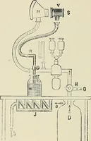 An illustration from Surgery of the lung (1913)