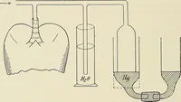 An illustration from Surgery of the lung (1913)