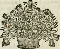 An illustration from Essai sur l'architecture (1755)