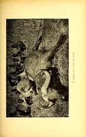 An illustration from Sur le Haut-Zambèze; voyages et travaux de mission (1899)