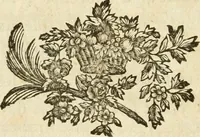 An illustration from Lettres sur l'Italie en 1785 (1788)