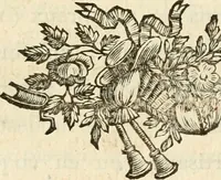 An illustration from Lettres sur l'Italie en 1785 (1788)