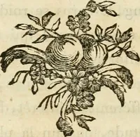 An illustration from Lettres sur l'Italie en 1785 (1788)