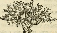 An illustration from Lettres sur l'Italie en 1785 (1788)