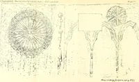 Picture 35 of 63 from Surrey archaeological collections, relating to the history and antiquities of the county (1907), leaf 190