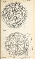 An illustration from Surrey archaeological collections, relating to the history and antiquities of the county (1907)