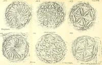 Picture 38 of 63 from Surrey archaeological collections, relating to the history and antiquities of the county (1907), leaf 200