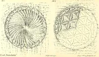 An illustration from Surrey archaeological collections, relating to the history and antiquities of the county (1907)