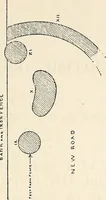 An illustration from Surrey archaeological collections, relating to the history and antiquities of the county (1908)