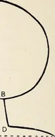 An illustration from Surrey archaeological collections, relating to the history and antiquities of the county (1909)