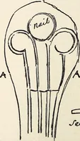 Picture 50 of 57 from Surrey archaeological collections, relating to the history and antiquities of the county (1909), leaf 271